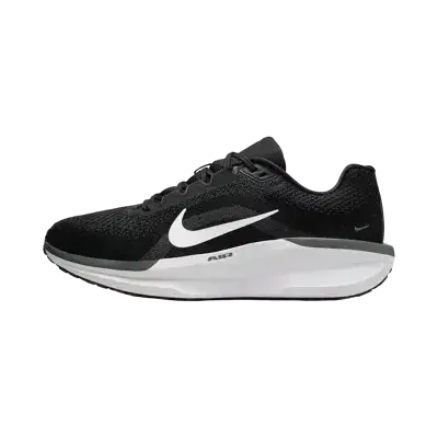Nike Winflo 11